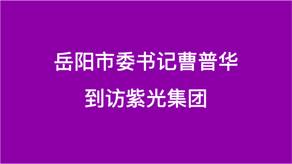 岳阳市委书记曹普华到访紫光集团